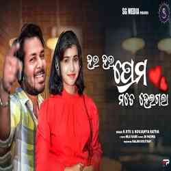 Hau Hau Prema Mate Heigala